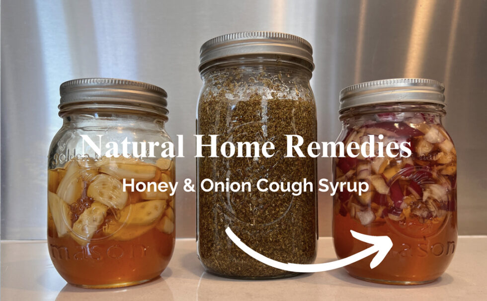 Onion And Honey Cough Syrup A Home Remedy For Wellness The Earth Heals
