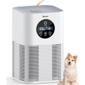 Air Purifiers for Home